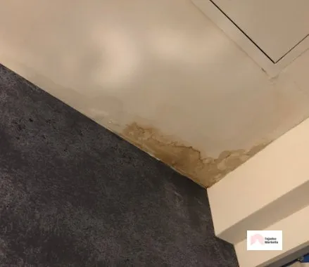 Arreglar Humedades en el Tejado en Marbella